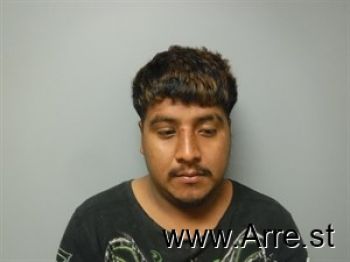 Sergio  Perez Mugshot