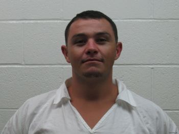 Shannon Mitchell Ray Mugshot