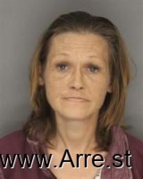 Stephanie Dawnelle Anderson Mugshot