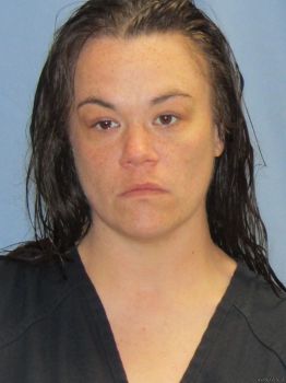 Stephanie Leann Cox Mugshot