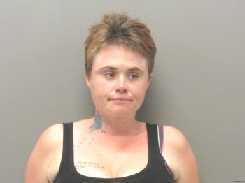 Stephanie Ann Driskill Mugshot