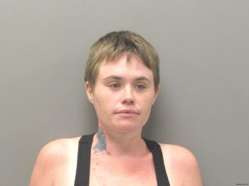 Stephanie Ann Driskill Mugshot