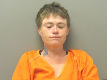 Stephanie Ann Driskill Mugshot