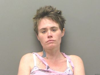 Stephanie Ann Driskill Mugshot