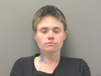 Stephanie Ann Driskill Mugshot