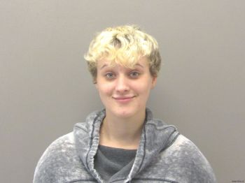 Stephanie Ann Shell Mugshot