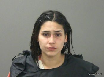 Sylvia  Morales Mugshot