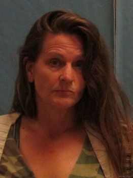 Tammy  Johnson Mugshot