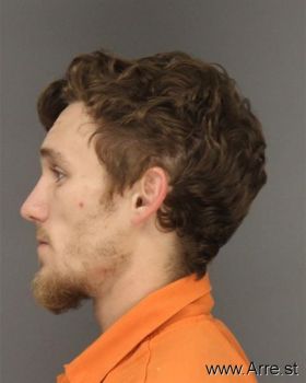 Tanner Mann Swain Mugshot