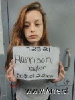 Taylor Le Harrison Mugshot