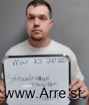 Taylor Austin Standridge Mugshot