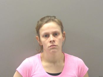 Terri Dannielle Young Mugshot