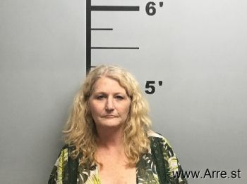 Terry Lynn Anderson Mugshot