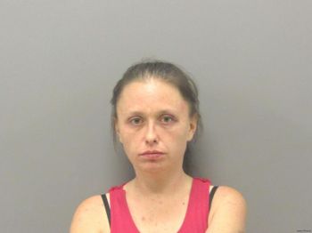 Terry Jo Lane Mugshot