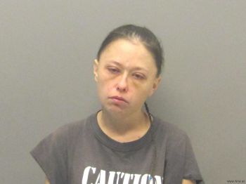 Terry Jo Lane Mugshot