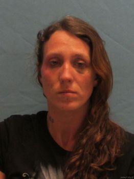 Tiffany Carol Anderson Mugshot