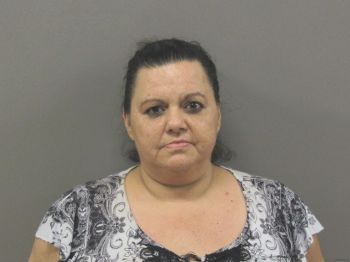 Tina Marie Mcdaniel Mugshot