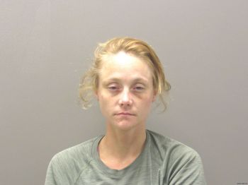 Toni Marie Palmquist Mugshot