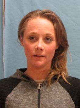 Toni Marie Palmquist Mugshot