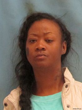 Toni Annette Porter Mugshot