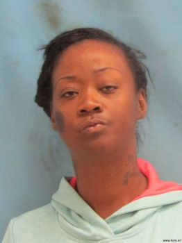 Toni  Porter Mugshot