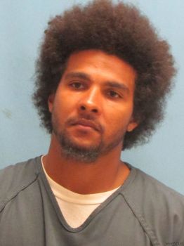 Tony  Whitehead Mugshot