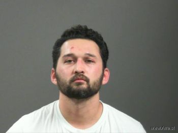 Travis  Zivalic Mugshot