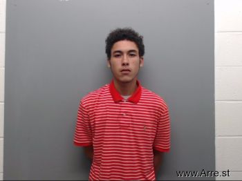 Trey  Nelson Mugshot