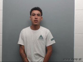 Trey  Nelson Mugshot