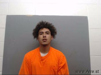 Trey  Nelson Mugshot