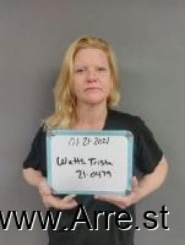 Trista Lee Ann Watts Mugshot