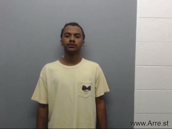 Troy Donavon Nelson Mugshot