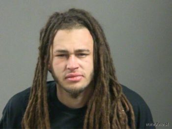 Tyler  Adams Mugshot