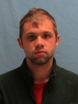 Tyler Duane Davidson Mugshot