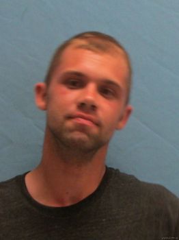 Tyler Duane Davidson Mugshot