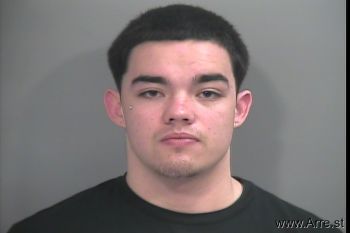 Tyler  Williamson Mugshot