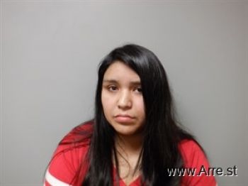 Vanessa Angelina Perez Mugshot