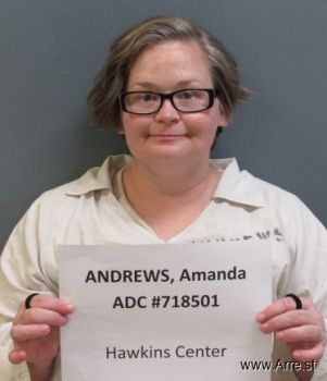 Amanda M Andrews Mugshot