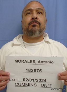 Antonio V Morales Mugshot