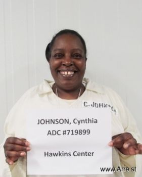 Cynthia D Johnson Mugshot