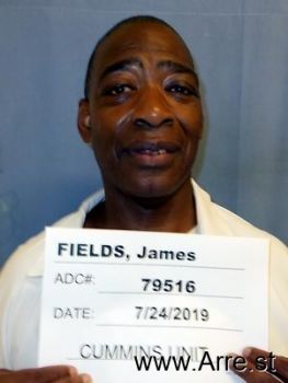 James  Fieldsjr Mugshot