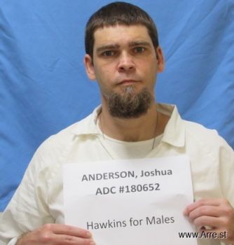 Joshua W Anderson Mugshot