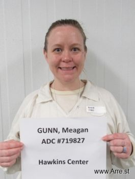 Megan  Gunn Mugshot