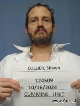 Shawn K Collier Mugshot