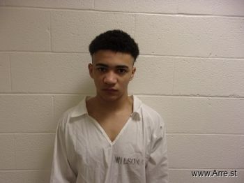 Terrence  Wilson Mugshot