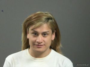 Alexis Fernandez-salgado Arrest Mugshot