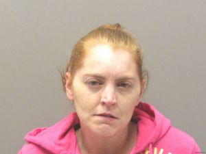 Amy Palmer Arrest Mugshot