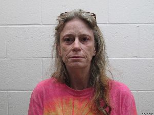 Anna Chase Arrest Mugshot