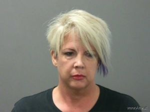 Anne Johnston Arrest Mugshot