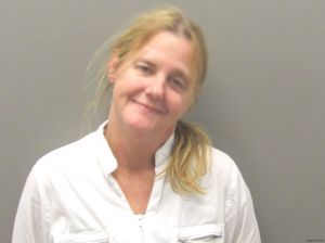 Anne Mcgee Arrest Mugshot